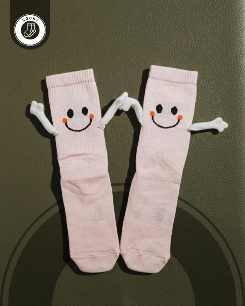 ايدين مغناطيس 1